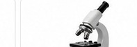 Microscope